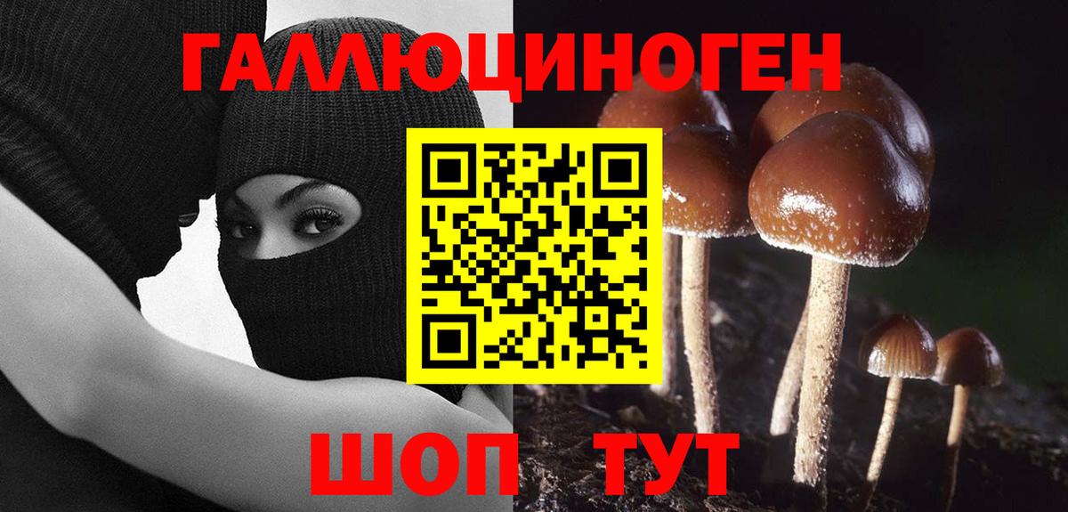 Тихорецк  Псилоцибиновые грибы ЛСД  Вход с VPN 